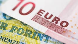 EUR/HUF İçin Yeni Hedefler Açıklandı: Goldman Sachs Forintte Değerlenme Bekliyor