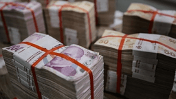 Hazine İhaleleri Sonucunda 104,1 Milyar Lira Düzeyinde Borçlanma Sağlandı